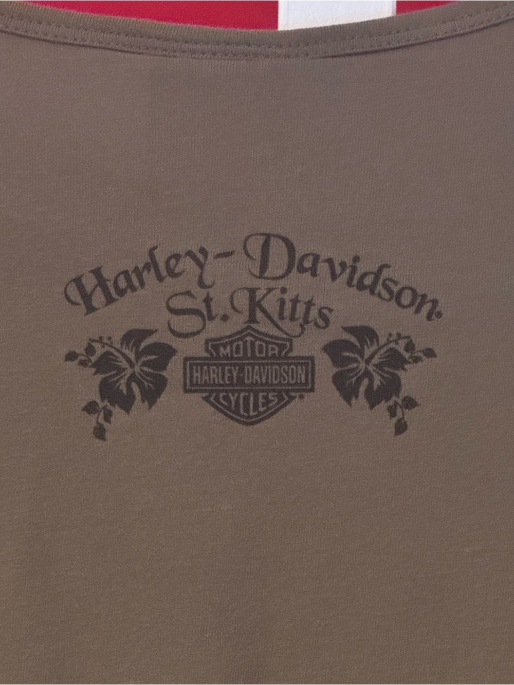 Harley-Davidson Olive Green Tee with Orange and White Logo - Picture 3 of 3